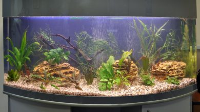 Photo of Установка ванн: секреты успешного монтажа